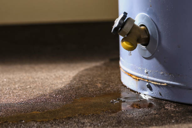 Best Carpet water damage restoration  in Eau Claire, WI