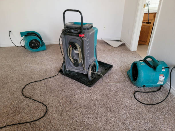Best Water damage restoration near me  in Eau Claire, WI
