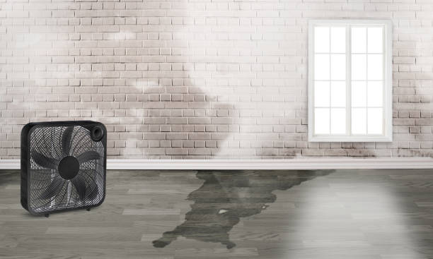 Best Fire Damage Restoration  in Eau Claire, WI