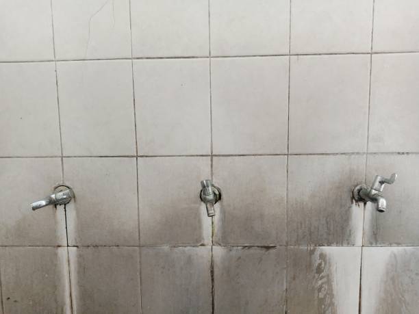 Best Water damage cleanup near me  in Eau Claire, WI