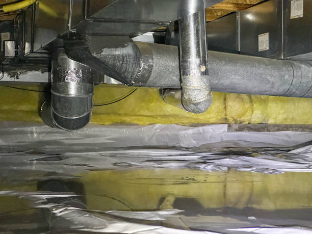 Best Flood damage cleanup  in Eau Claire, WI