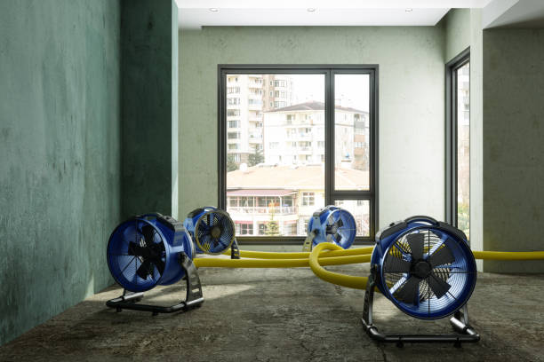 Best Sewage cleanup and water damage restoration  in Eau Claire, WI