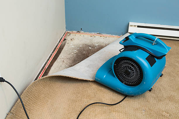 Best 24-hour water damage restoration  in Eau Claire, WI